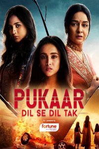    :     / Pukaar dil se dil tak (  )