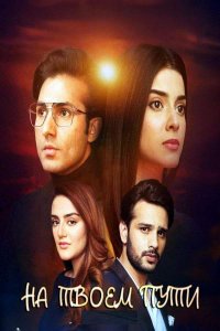       / Teri Rah Mein (  )